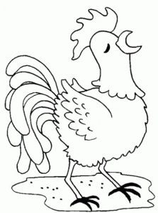 pollo caricatura