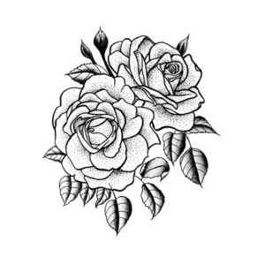rosas dibujos a lapiz
