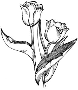 tulipanes pintados en tela