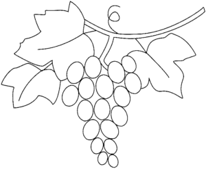 uvas para dibujar